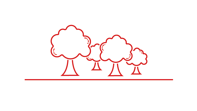 Ikon for skovrejsning - ikonet viser en masser træer - rød stregtegning